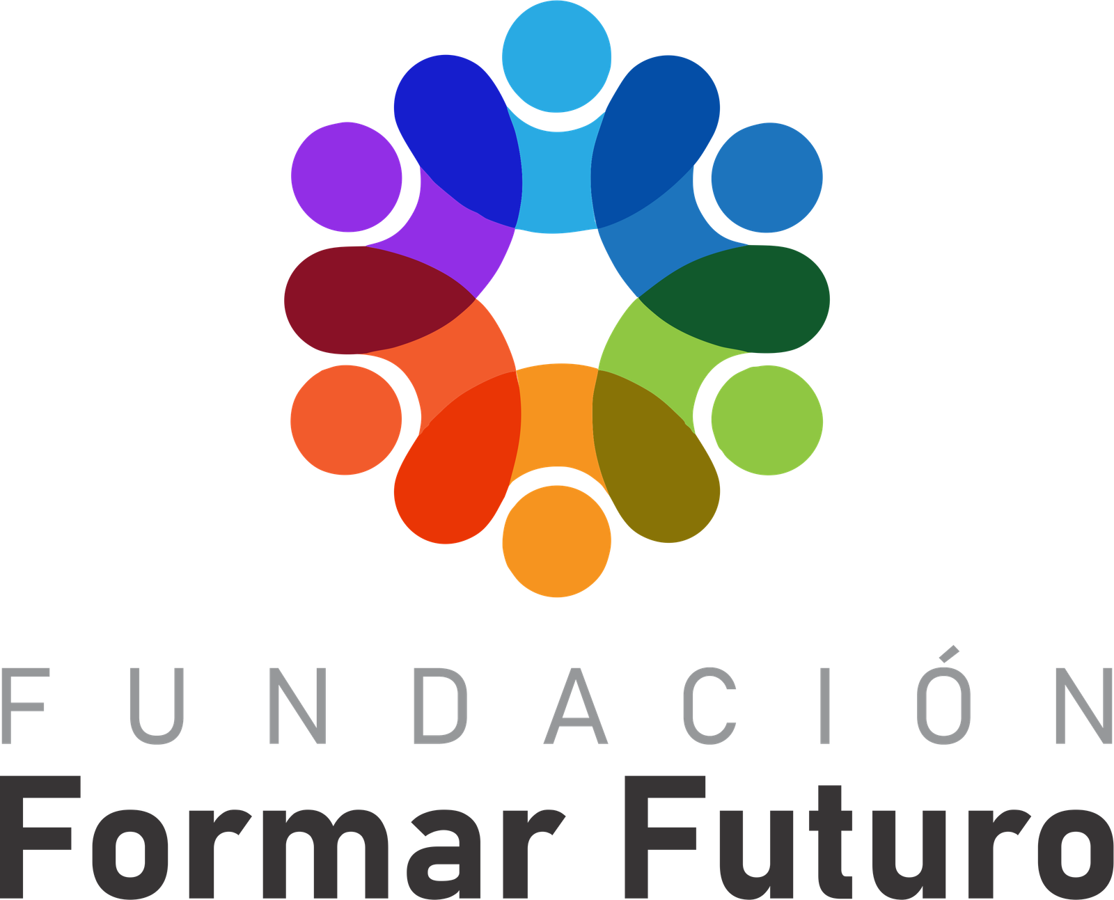 Formar Futuro - Fundación